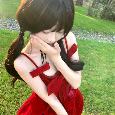 国土资源局长